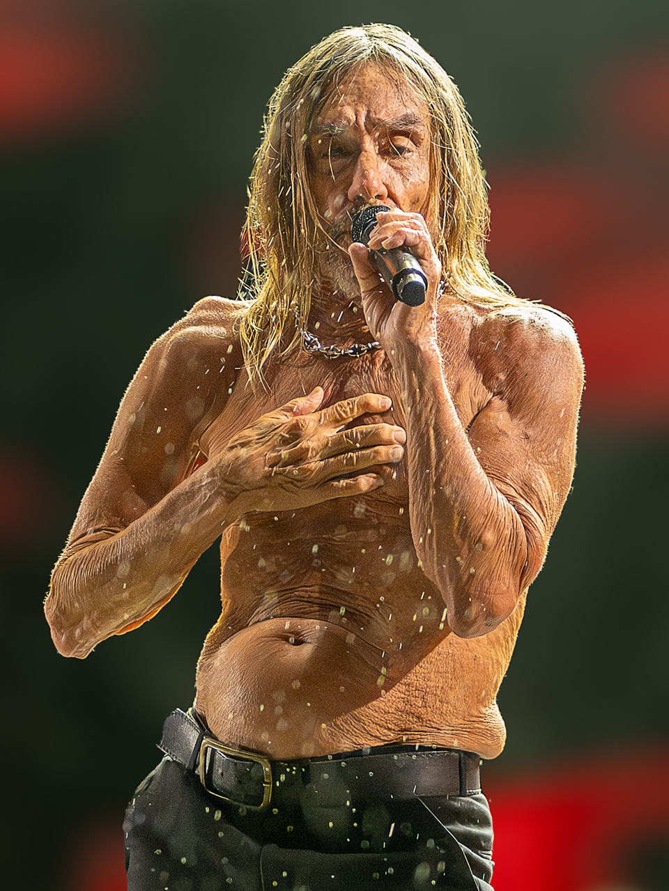 Iggy Pop tickets