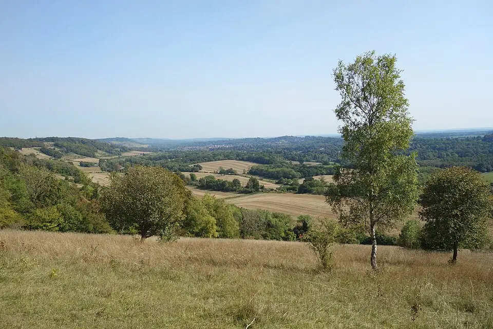 Events in Surrey