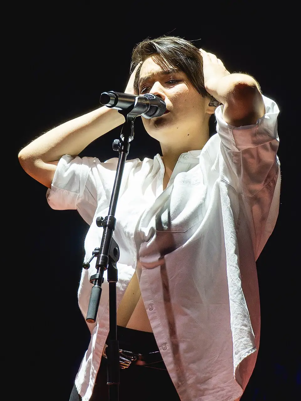 Mitski tickets