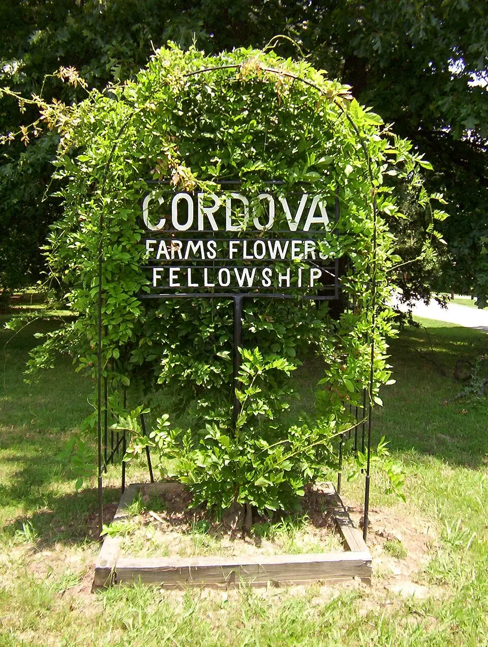 Events in Cordova